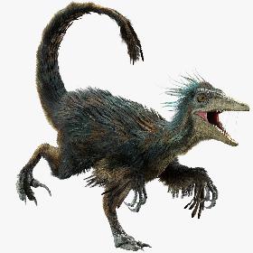 Raptor (Fur) (Rigged) 3D model